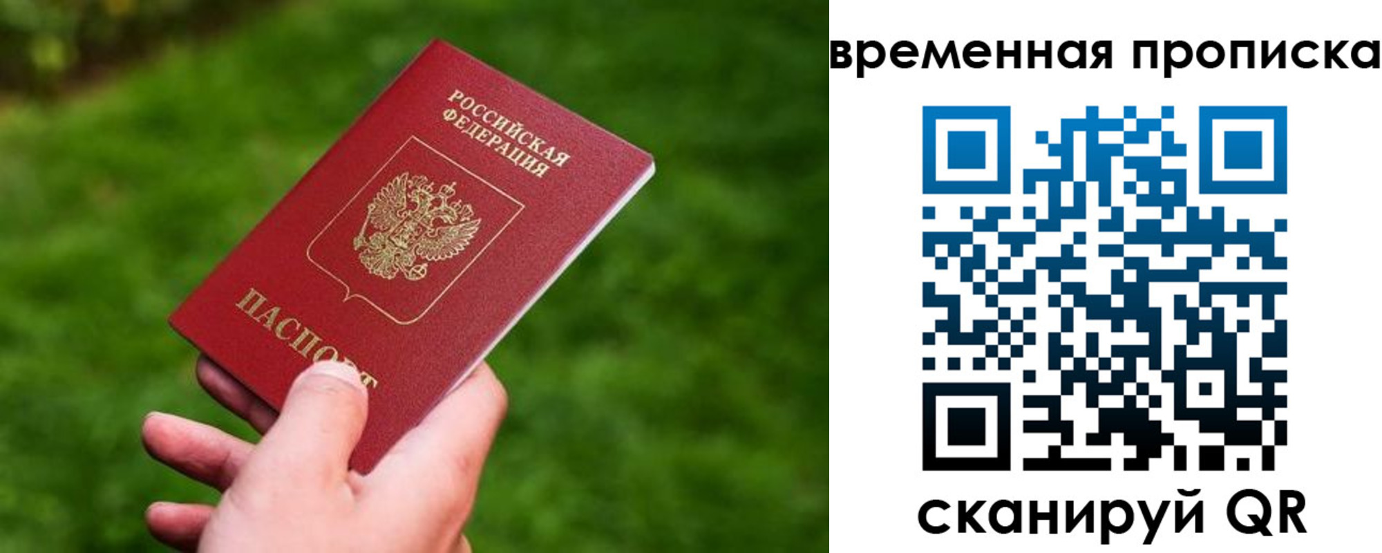 прописка ребенка в Выборге